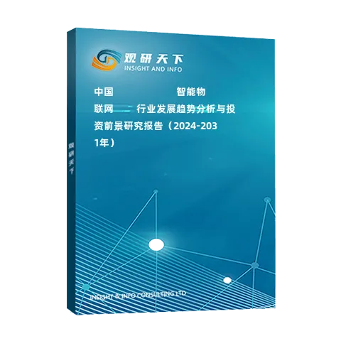 中國???????????智能物聯(lián)網(wǎng)????行業(yè)發(fā)展趨勢分析與投資前景研究報告（2024-2031年）